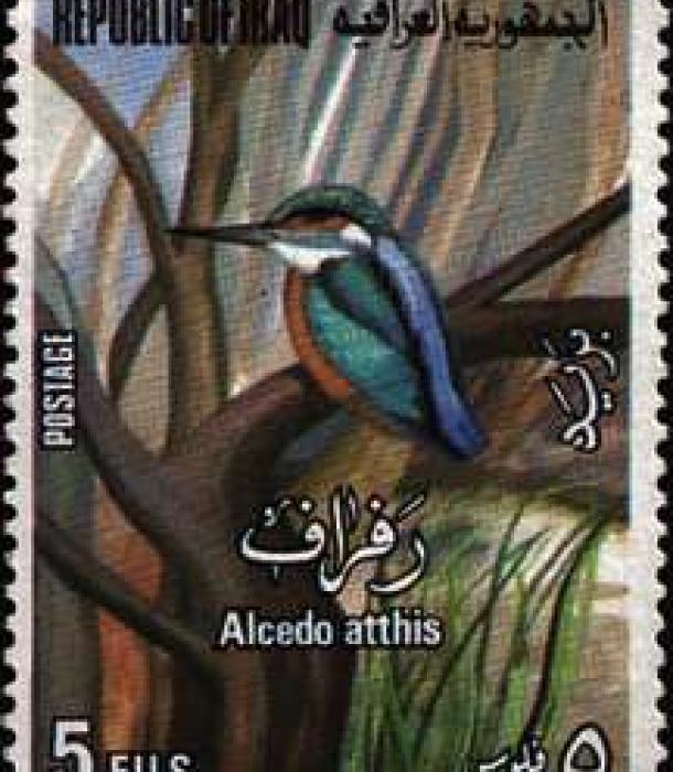1591-Thumbnail Image-1.jpg