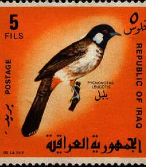 1613-Thumbnail Image-1.jpg