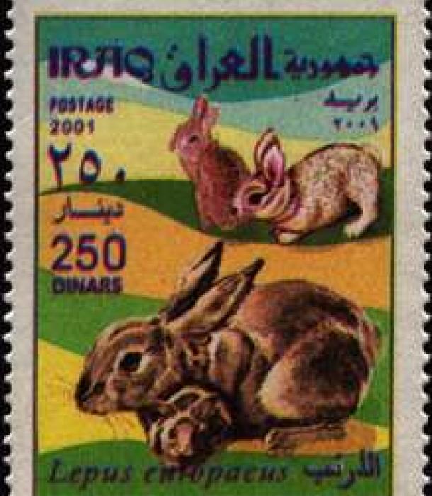 1614-Thumbnail Image-1.jpg