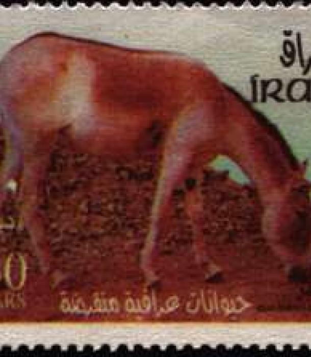 1615-Thumbnail Image-1.jpg