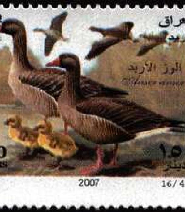 1616-Thumbnail Image-1.jpg