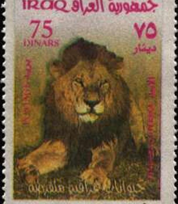 1619-Thumbnail Image-1.jpg
