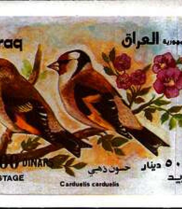 1620-Thumbnail Image-1.jpg