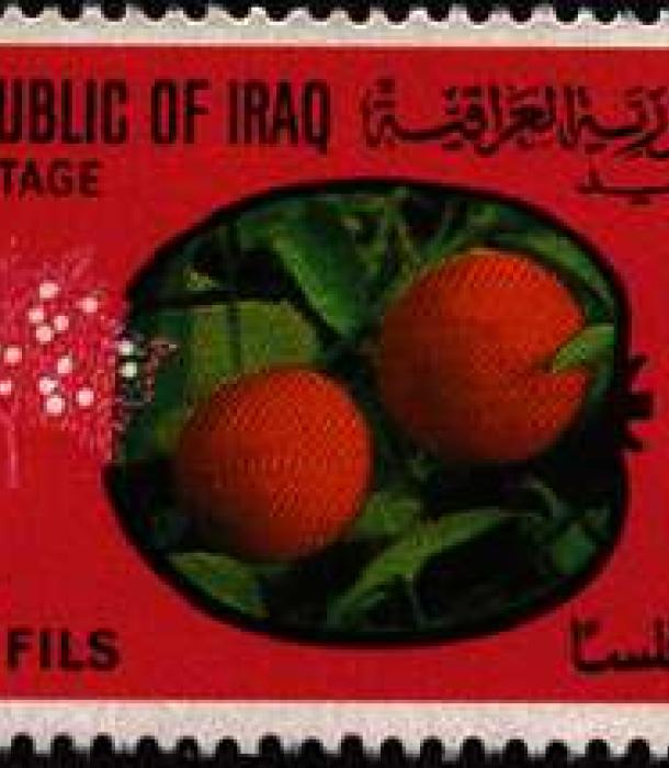 1621-Thumbnail Image-1.jpg