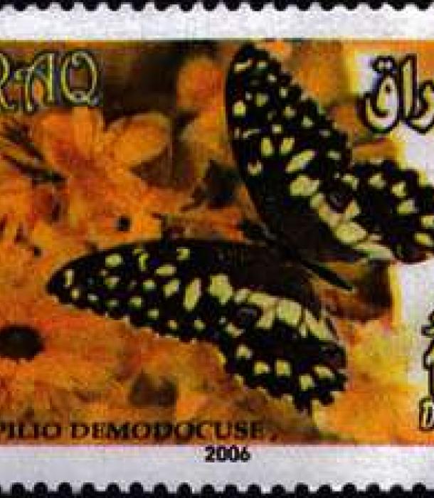 1623-Thumbnail Image-1.jpg