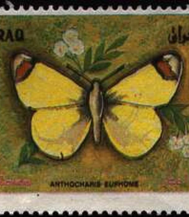 1625-Thumbnail Image-1.jpg