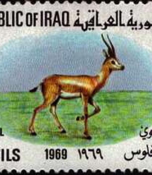 1627-Thumbnail Image-1.jpg