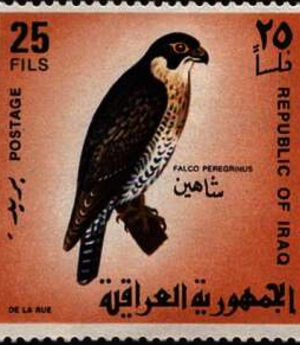 1628-Thumbnail Image-1.jpg
