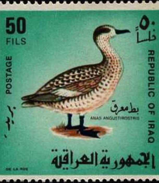 1630-Thumbnail Image-1.jpg
