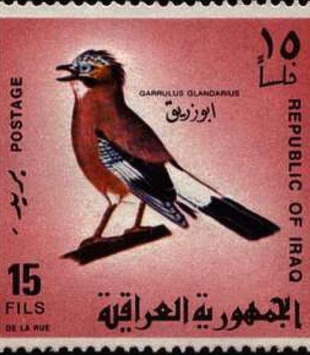 1631-Thumbnail Image-1.jpg