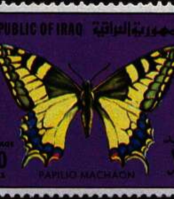 1633-Thumbnail Image-1.jpg