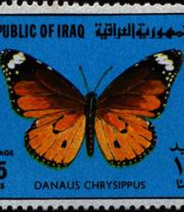 1634-Thumbnail Image-1.jpg