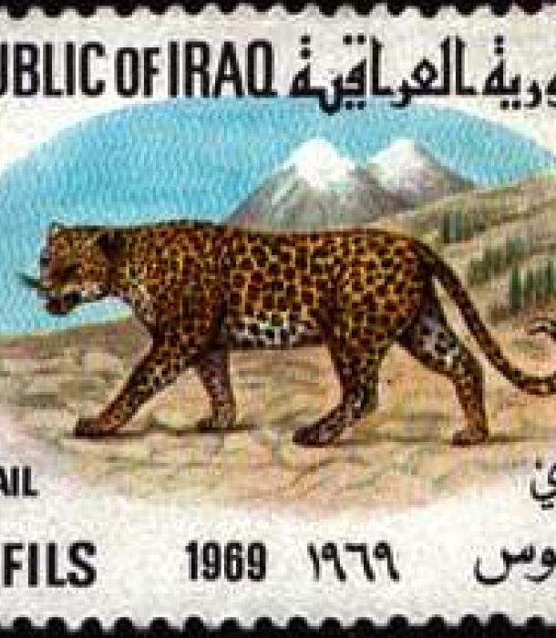 1635-Thumbnail Image-1.jpg