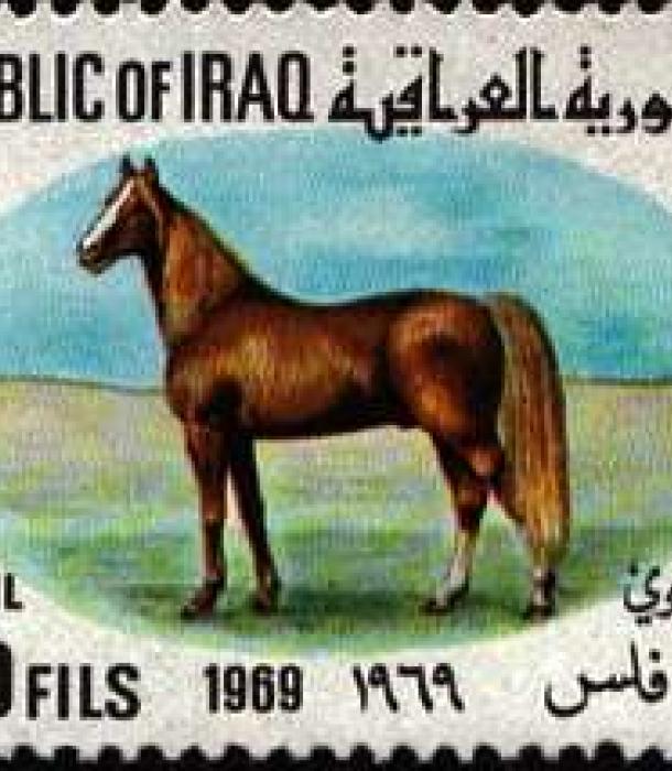 1636-Thumbnail Image-1.jpg