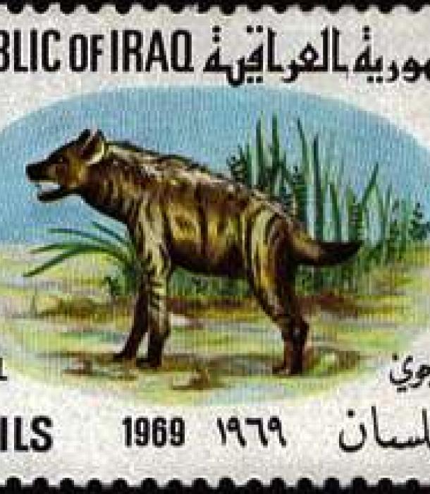 1637-Thumbnail Image-1.jpg