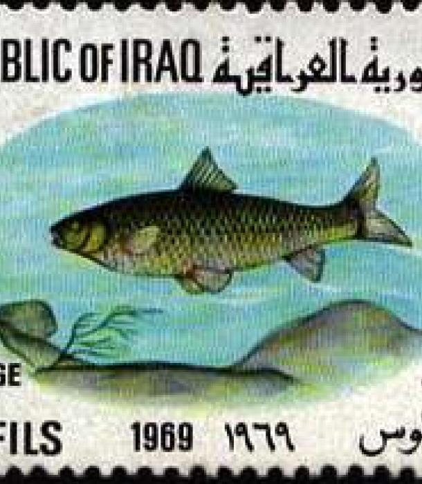 1638-Thumbnail Image-1.jpg