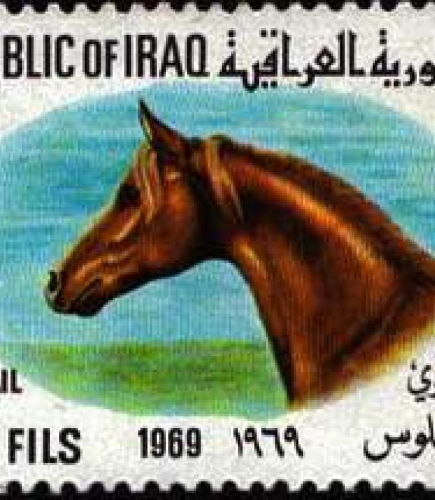 1640-Thumbnail Image-1.jpg