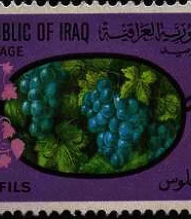 1643-Thumbnail Image-1.jpg