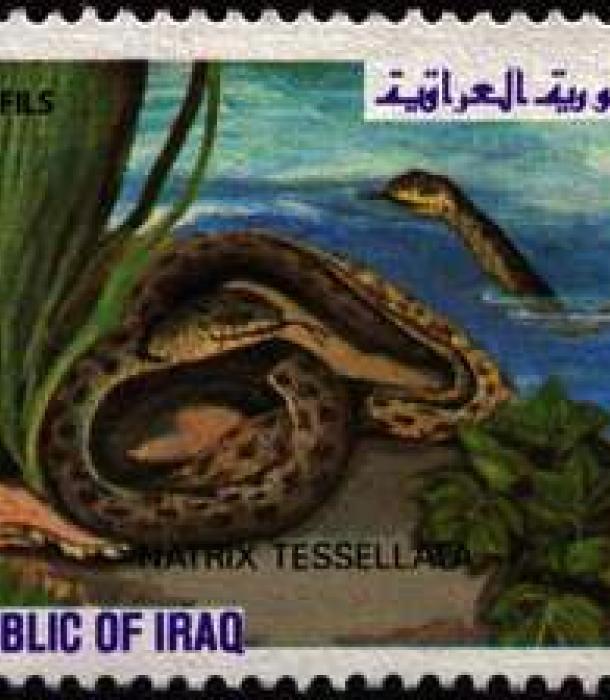 1644-Thumbnail Image-1.jpg