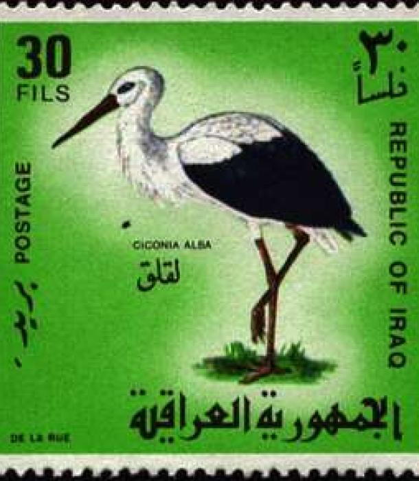 1645-Thumbnail Image-1.jpg