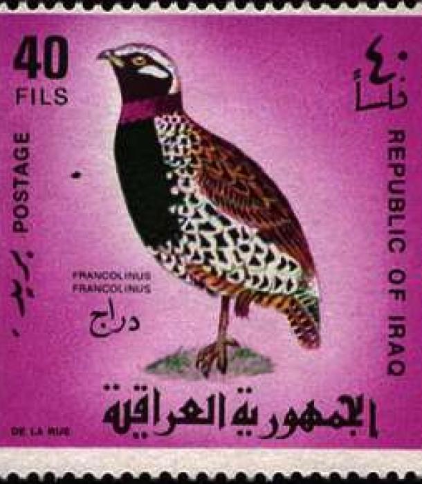 1646-Thumbnail Image-1.jpg