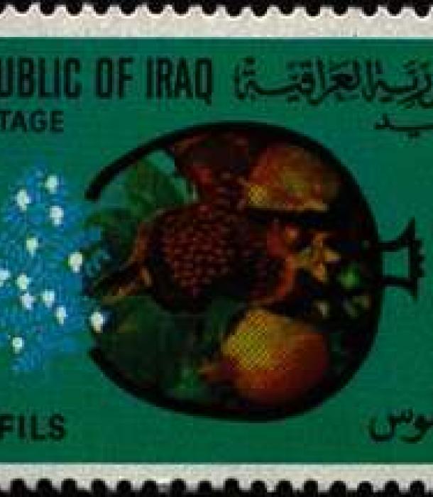 1648-Thumbnail Image-1.jpg
