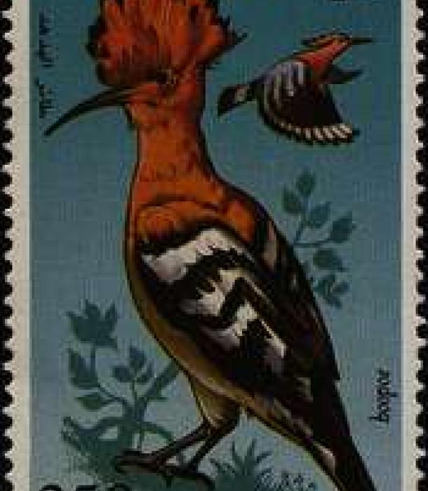 1693-Thumbnail Image-1.jpg