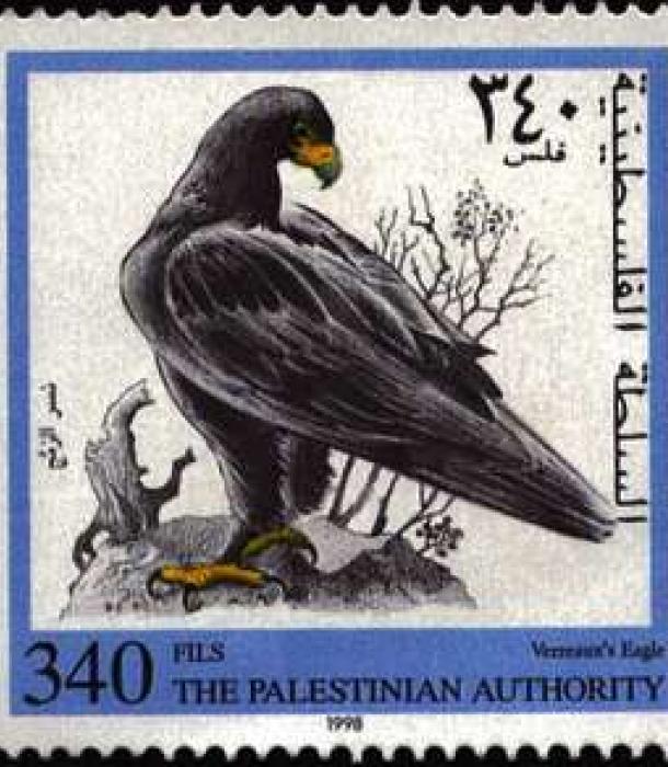 1695-Thumbnail Image-1.jpg