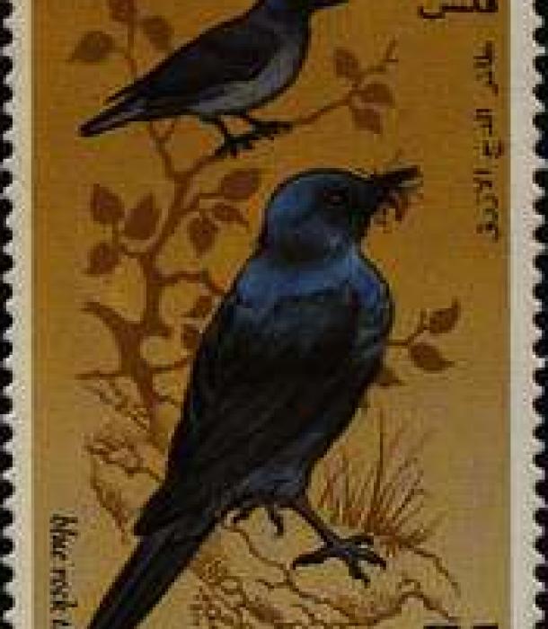 1697-Thumbnail Image-1.jpg