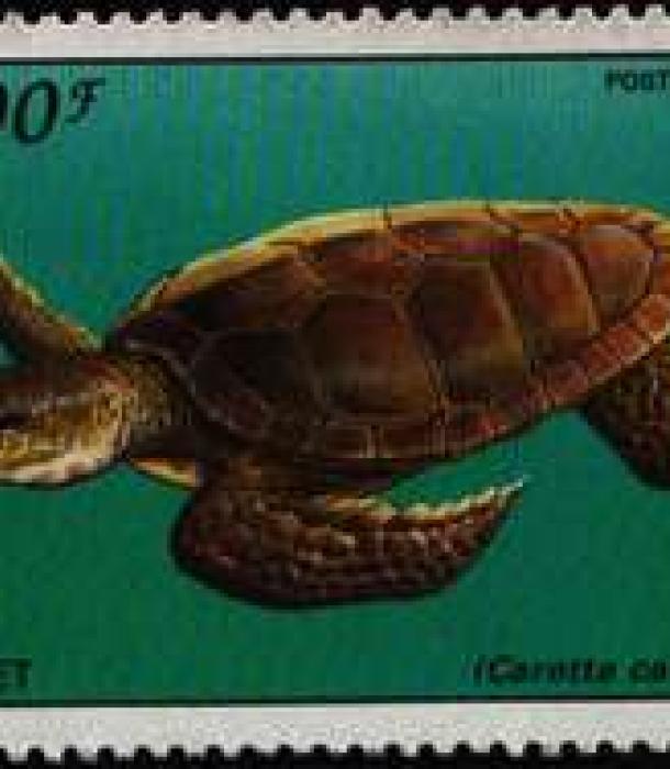 1713-Thumbnail Image-1.jpg