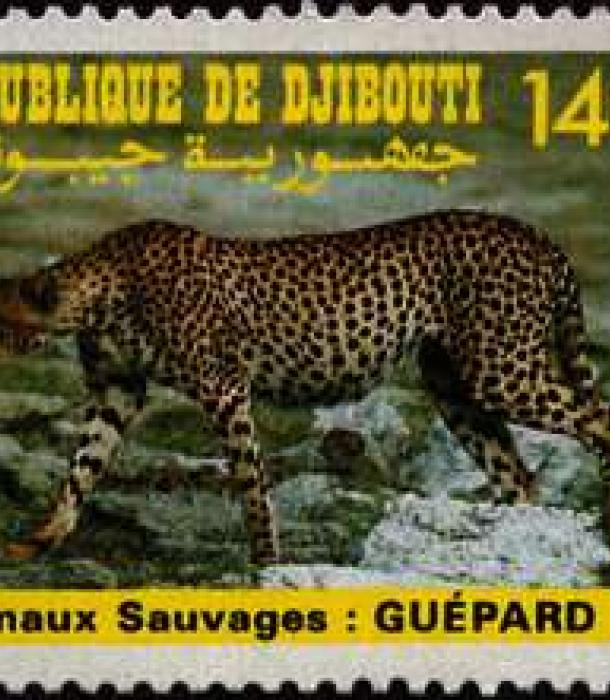 1714-Thumbnail Image-1.jpg