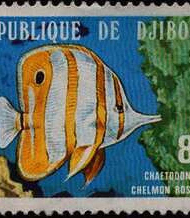 1715-Thumbnail Image-1.jpg
