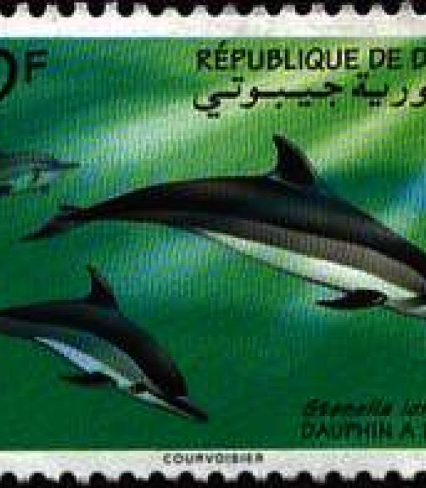 1716-Thumbnail Image-1.jpg