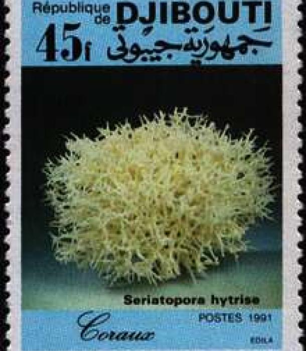 1717-Thumbnail Image-1.jpg