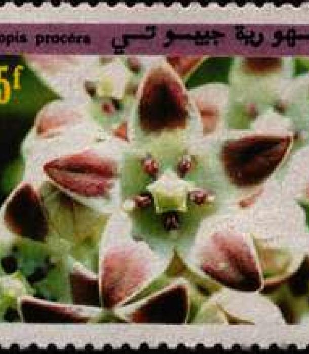 1718-Thumbnail Image-1.jpg