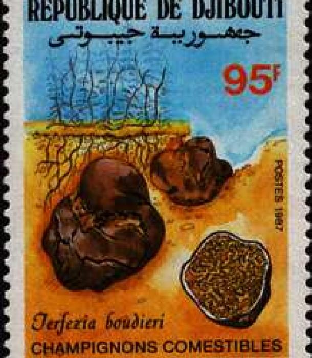 1719-Thumbnail Image-1.jpg