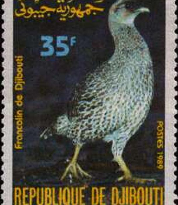1720-Thumbnail Image-1.jpg