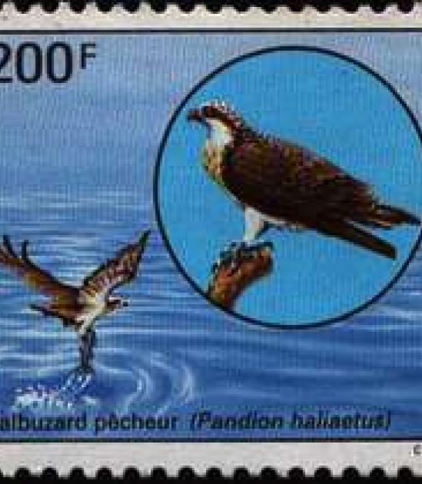 1721-Thumbnail Image-1.jpg