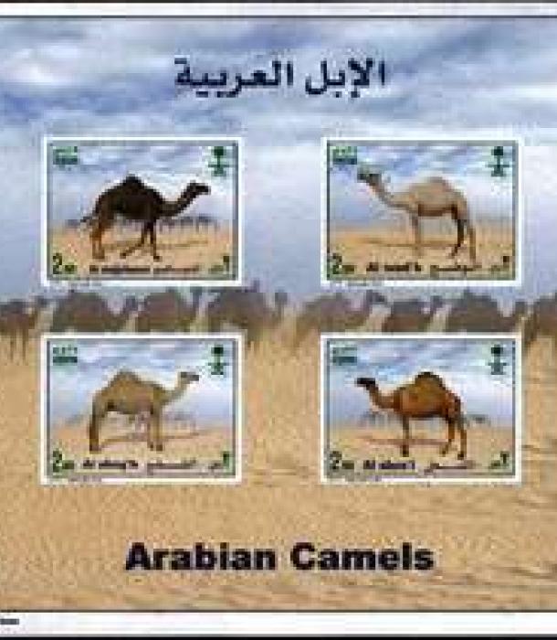 1760-Thumbnail Image-1.jpg