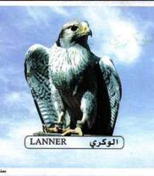1774-Thumbnail Image-1.jpg