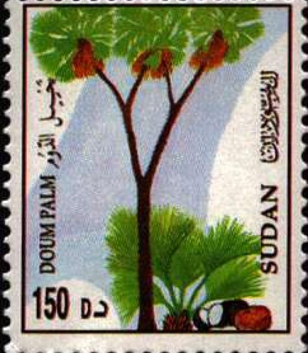 1787-Thumbnail Image-1.jpg