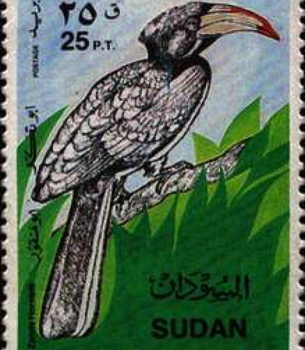 1788-Thumbnail Image-1.jpg