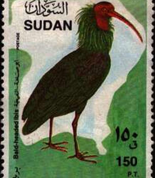 1802-Thumbnail Image-1.jpg