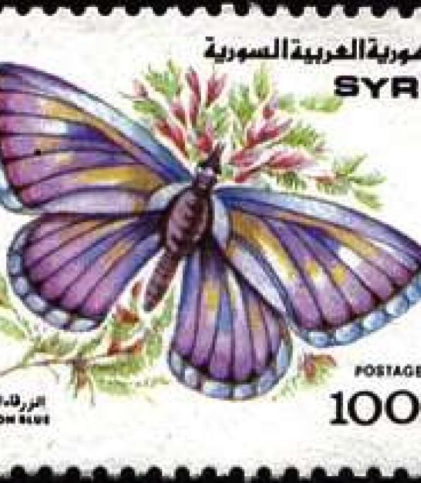 1805-Thumbnail Image-1.jpg
