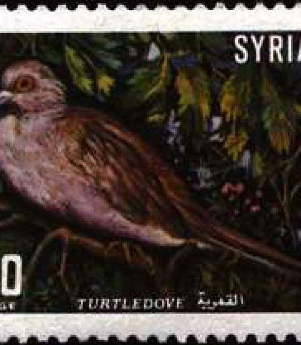 1807-Thumbnail Image-1.jpg