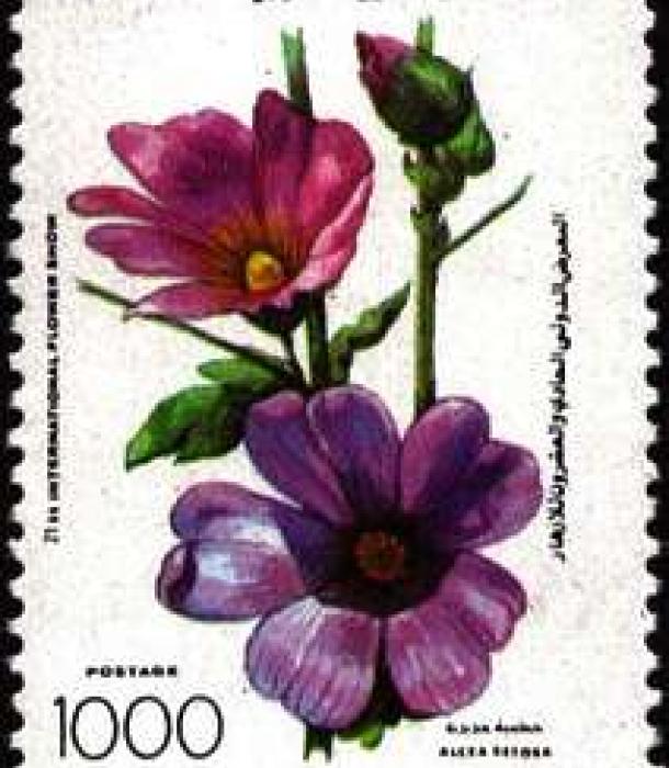1808-Thumbnail Image-1.jpg