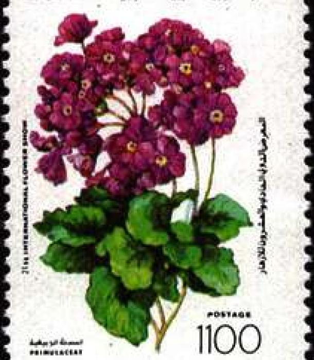 1809-Thumbnail Image-1.jpg