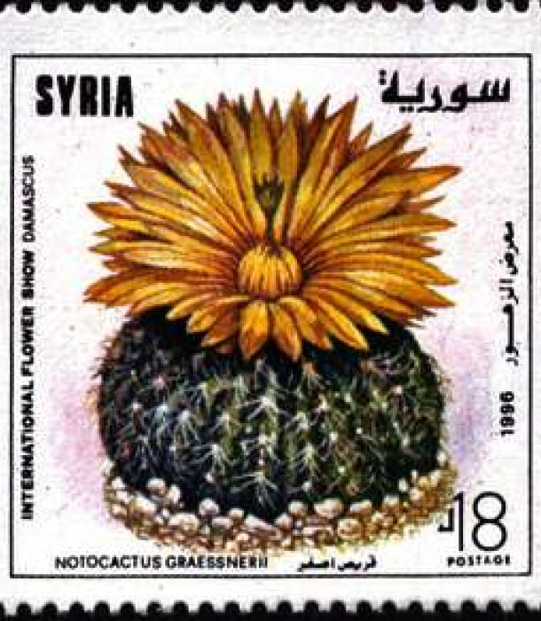 1810-Thumbnail Image-1.jpg