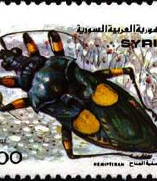 1814-Thumbnail Image-1.jpg