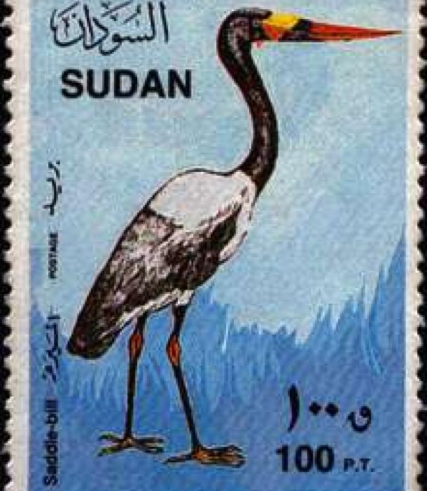 1817-Thumbnail Image-1.jpg